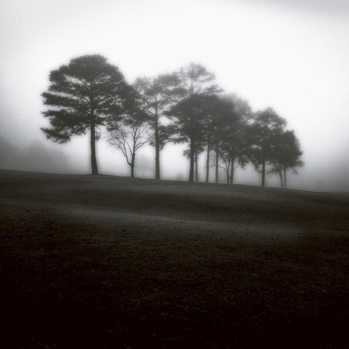 A row of silhouetted trees emerges from dense fog across a dark, barren landscape in shades of black, grey, and white.