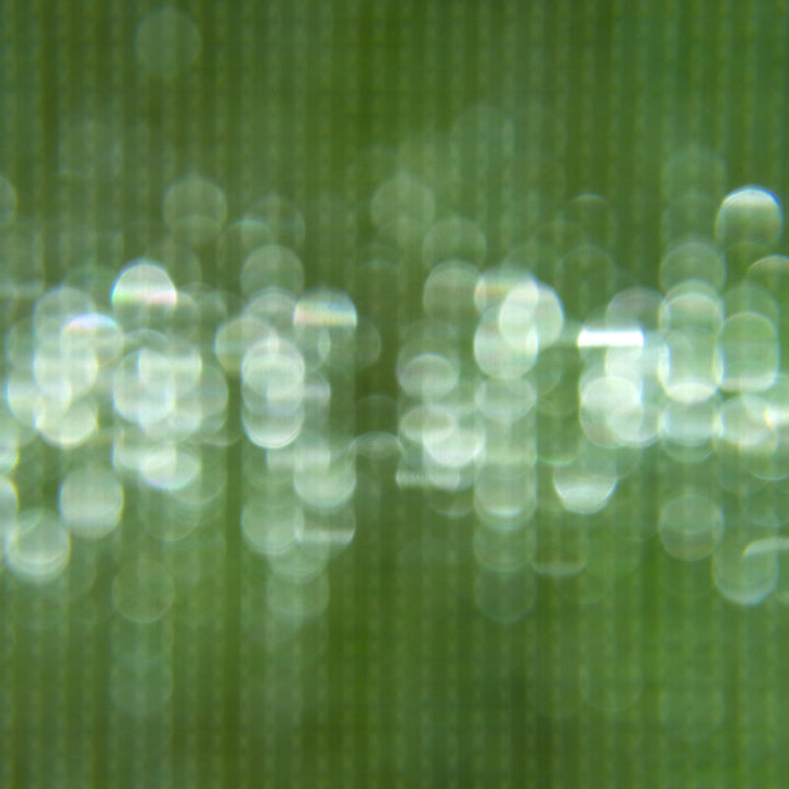 Green vertical lines with white circular bokeh lights scattered across the composition in soft focus.