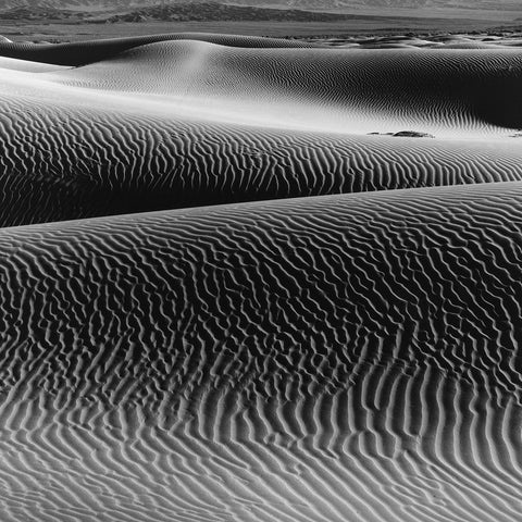 B & W Photography