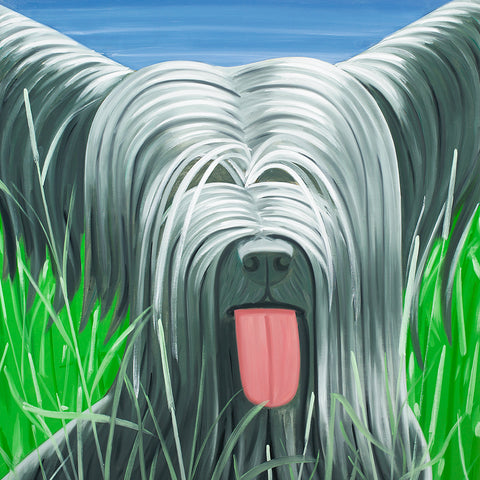 Domesticated Animals