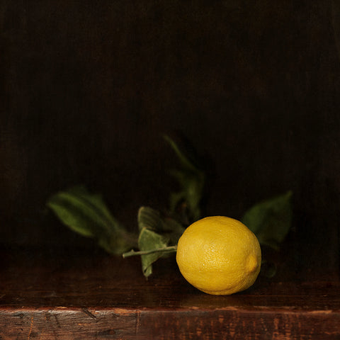 Fine Art Photography