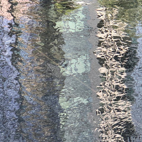 Judith Rayl