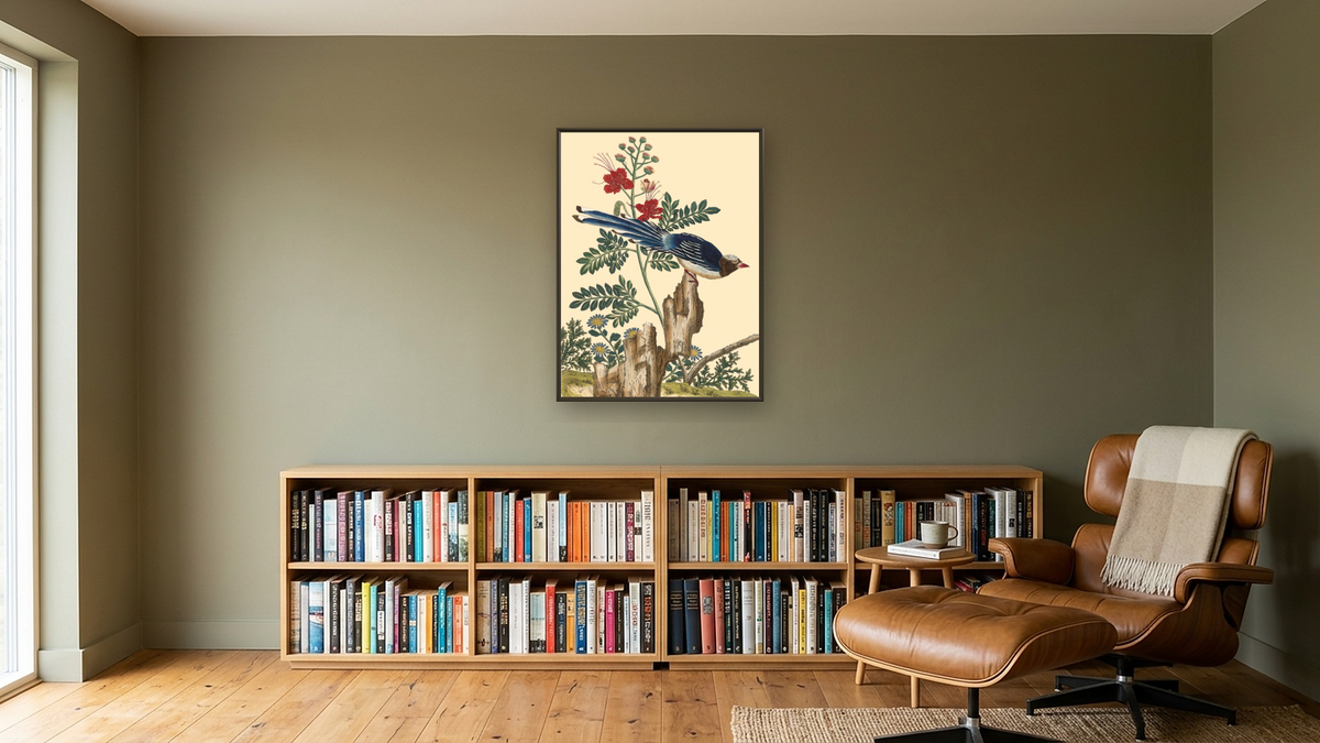 Caesalpinia pulcherrima with blue bird by Pierre Joseph Buchoz, shown at 30 × 40 in (76.2 × 101.6 cm) on canvas in Ramino Satin Black, library