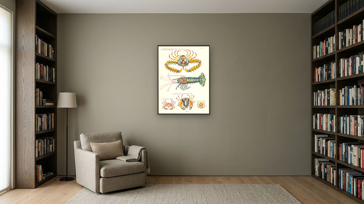 Crabs and crayfish by Louis Renard, shown at 30 × 40 in (76.2 × 101.6 cm) on canvas in Ramino Satin Black, library