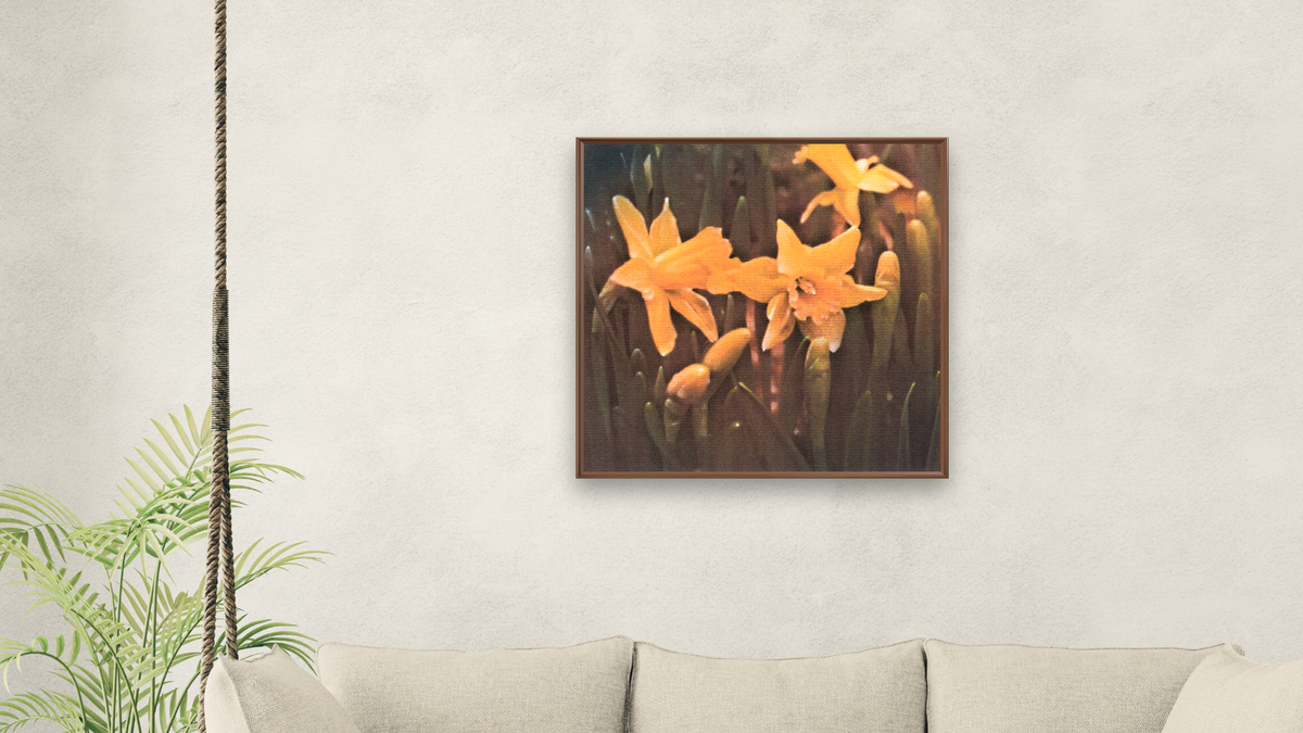 Daffodils by Kirsten Söderlind, shown at 32 × 32 in (81.3 × 81.3 cm) on canvas in Arber Warm Walnut, living