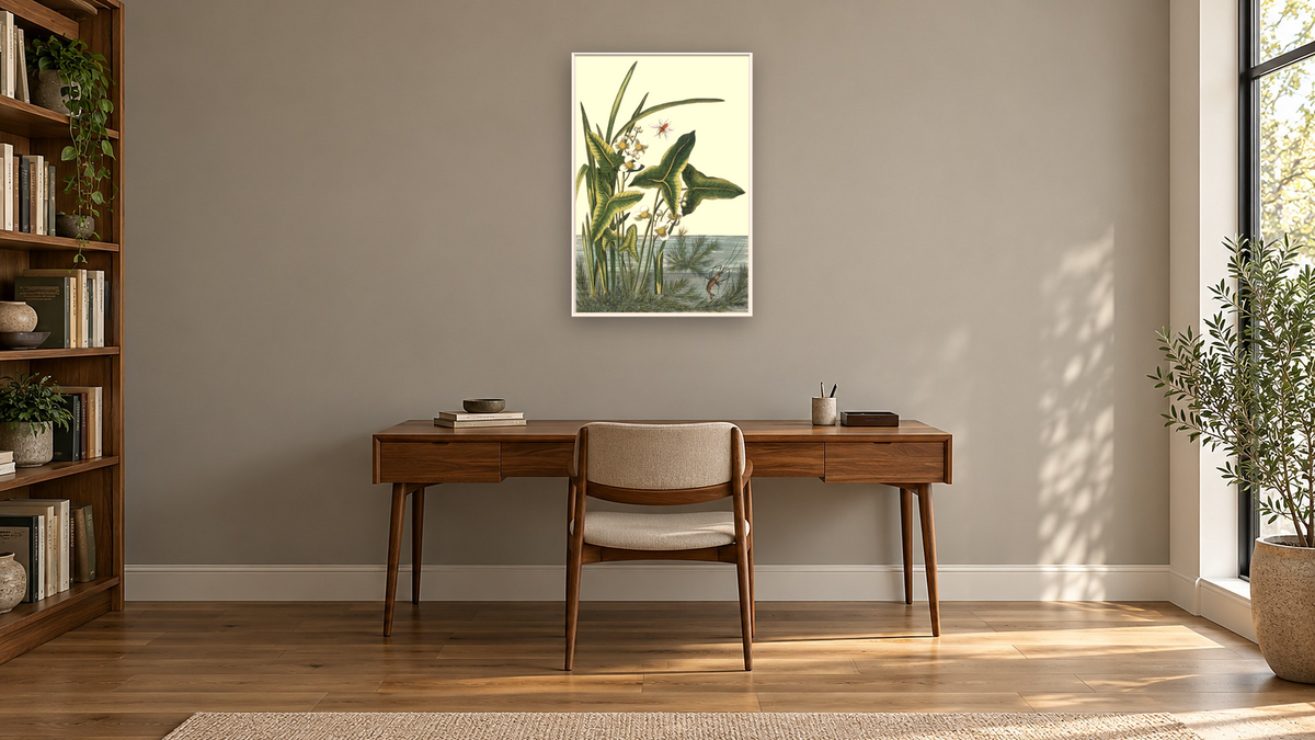 Arrowhead by Pierre Joseph Buchoz, shown at 28 × 42 in (71.1 × 106.7 cm) on canvas in Arber Warm Walnut, library