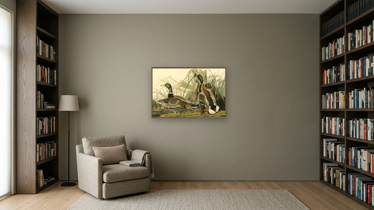 42-26174721 by John James Audubon, shown at 28 × 42 in (71.1 × 106.7 cm) on canvas in Arber Warm Walnut, library