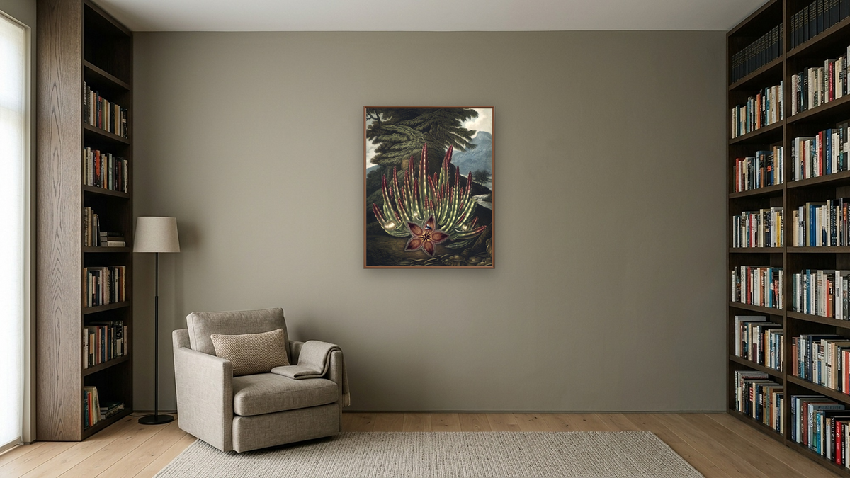 The Maggot-bearing Stapelia by Robert John Thornton, shown at 32 × 40 in (81.3 × 101.6 cm) on canvas in Arber Warm Walnut, library