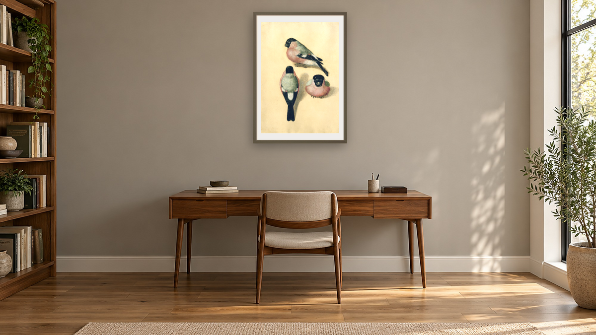 Three studies of a bullfinch (w/c & gouache on paper) by Albrecht Dürer, shown at 28 × 42 in (71.1 × 106.7 cm) in Ramino Satin Black, library