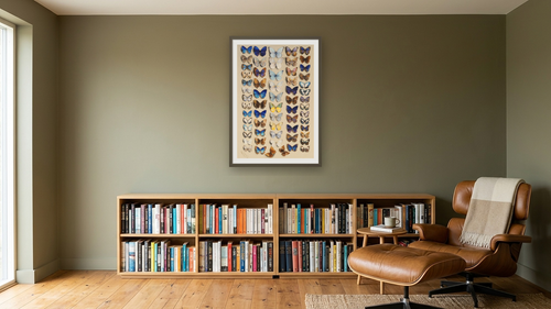 A packed plate of sixty-two butterflies, in five columns, mostly representing some of the larger members of the Lycaendidae by Marian Ellis Rowan, shown at 28 × 42 in (71.1 × 106.7 cm) in Ramino Satin Black, library [arteriel-render:v6:room_a:28x42@50,33]