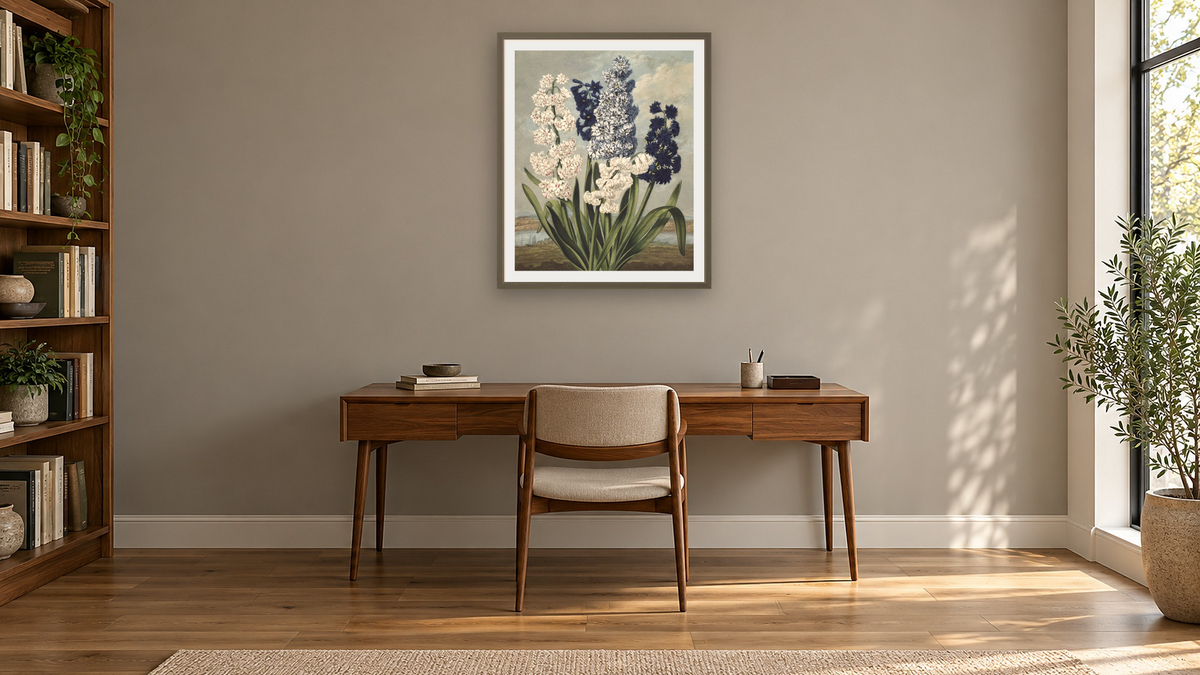 Hyacinths by Robert John Thornton, shown at 32 × 40 in (81.3 × 101.6 cm) in Ramino Satin Black, library