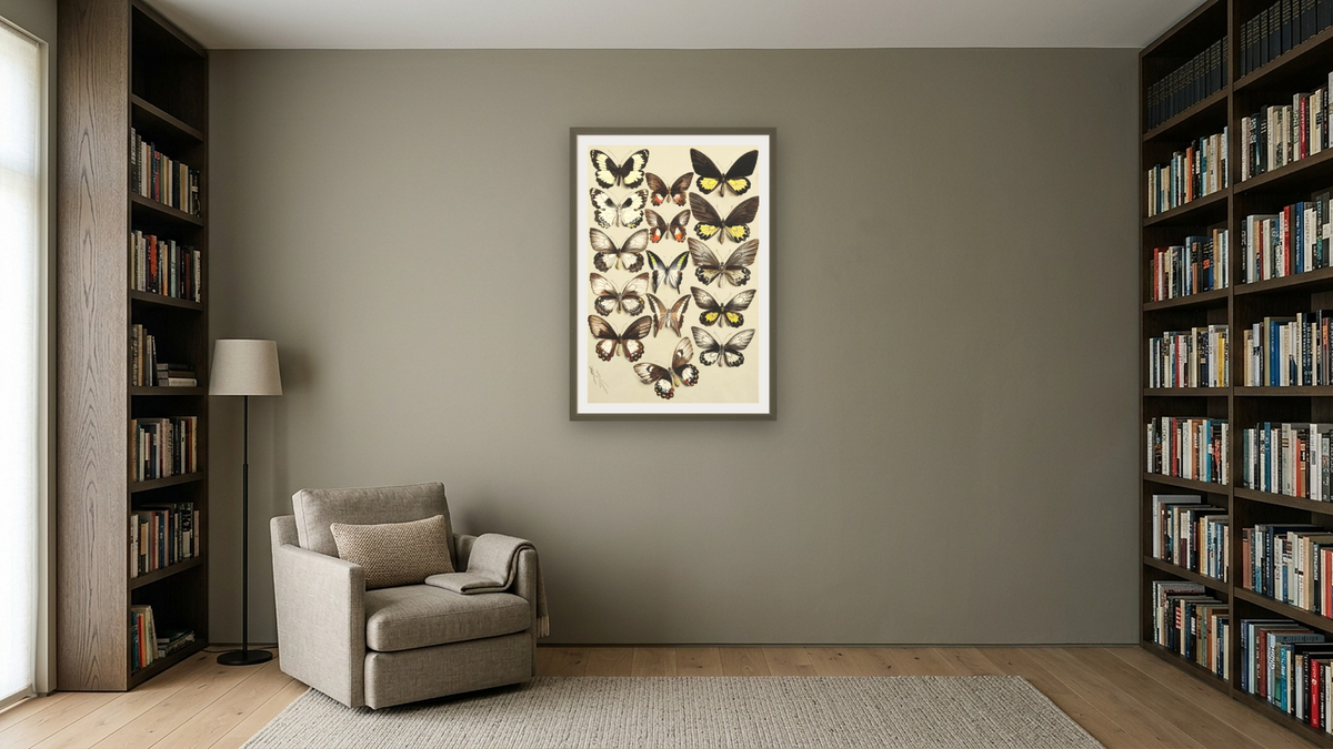 Fifteen Swallowtail butterflies (Family Papilionidae) in three columns by Marian Ellis Rowan, shown at 28 × 42 in (71.1 × 106.7 cm) in Ramino Satin Black, library