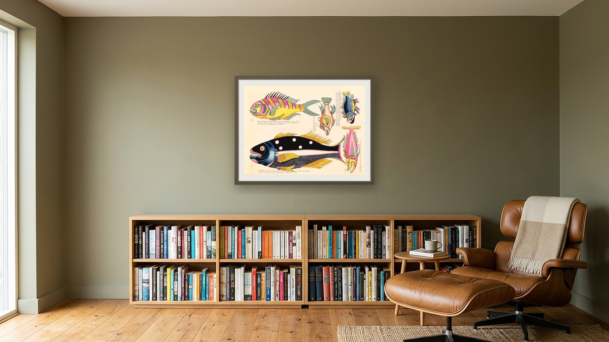 Fish by Louis Renard, shown at 30 × 40 in (76.2 × 101.6 cm) in Ramino Satin Black, library