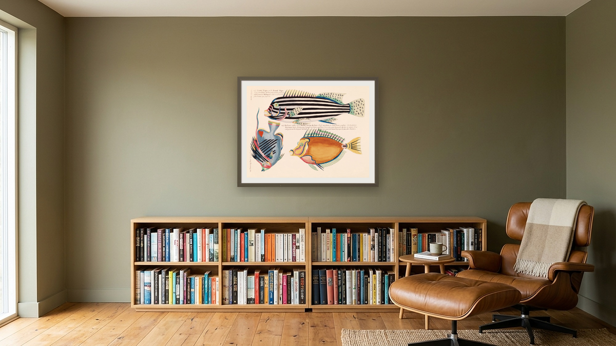 Fish by Louis Renard, shown at 30 × 40 in (76.2 × 101.6 cm) in Ramino Satin Black, library