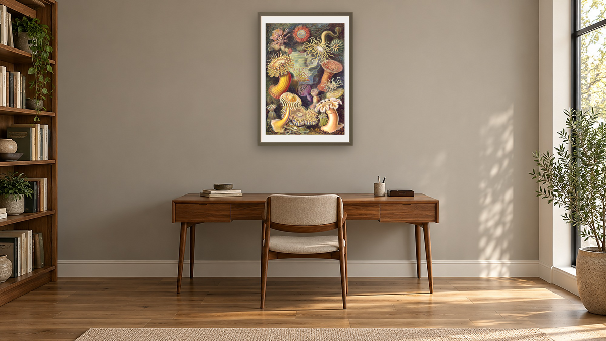 Illustration of Actiniae by Ernst Haeckel, shown at 28 × 42 in (71.1 × 106.7 cm) in Ramino Satin Black, library