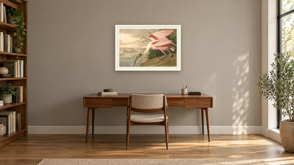 Roseate Spoonbill by John James Audubon, shown at 28 × 42 in (71.1 × 106.7 cm) in Ramino Opaque White, library
