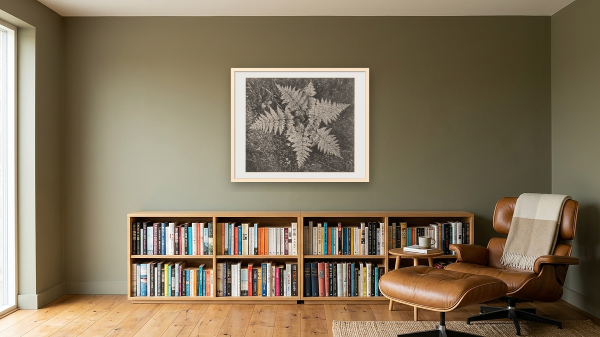 Ferns, Glacier National Park, Montana, National Parks and Monuments, 1941 by Ansel Adams, shown at 32 × 40 in (81.3 × 101.6 cm) in Ramino Opaque White, library