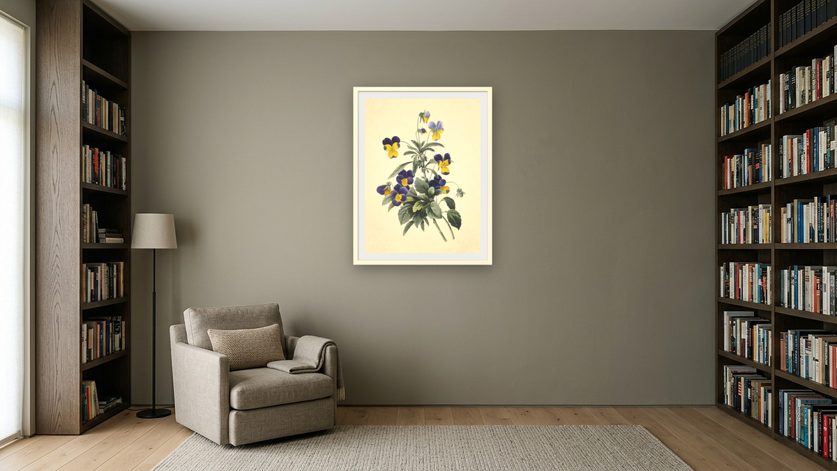Viola Tricolor (Wild Pansy), Choix des Plus Belles Fleurs et Des Plus Beaux Fruits by Pierre Joseph Redouté, shown at 30 × 40 in (76.2 × 101.6 cm) in Ramino Opaque White, library