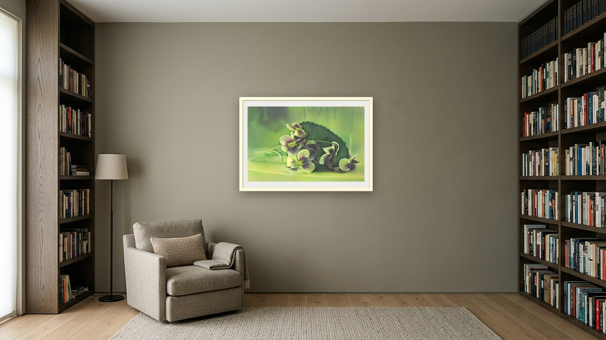 Violets by Kirsten Söderlind, shown at 28 × 42 in (71.1 × 106.7 cm) in Ramino Opaque White, library