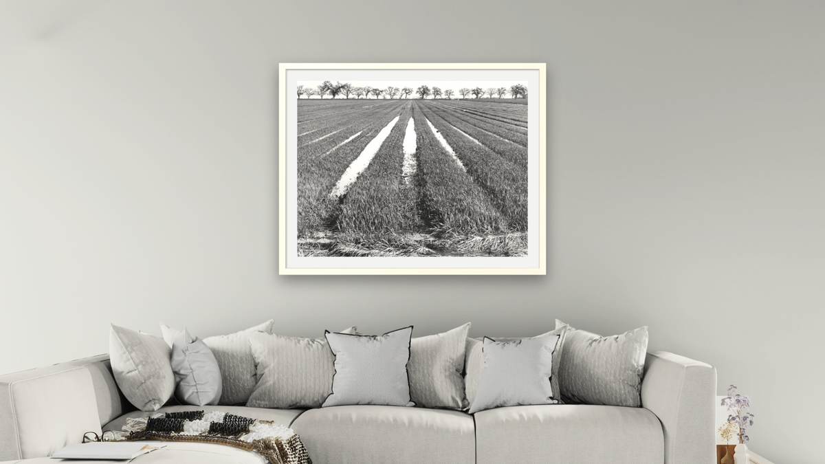 Rice Field by Gordon Osmundson, shown at 32 × 40 in (81.3 × 101.6 cm) in Ramino Opaque White, living