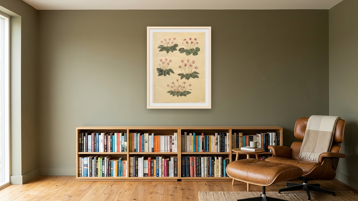 Cyclamen purpurascens; Cyclamen hederifolium by Johannes Simon Holtzbecher, shown at 30 × 40 in (76.2 × 101.6 cm) in Ramino Opaque White, library