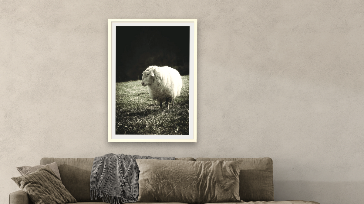 blackberry by Brandon Luther, shown at 28 × 42 in (71.1 × 106.7 cm) in Ramino Opaque White, living