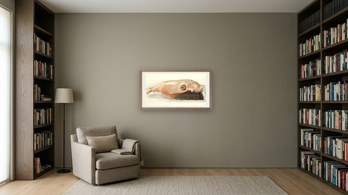 Horizontal Horse's or Mule's Skull with Feather by Georgia O'Keeffe, shown at 20 × 40 in (50.8 × 101.6 cm) in Arber Light Walnut, library