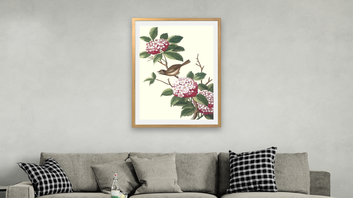Pink Viburnum with bird by Pierre Joseph Buchoz, shown at 28 × 42 in (71.1 × 106.7 cm) in Ramino Night Gold, living