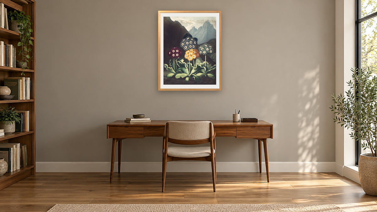 A Group of Auriculas by Robert John Thornton, shown at 30 × 40 in (76.2 × 101.6 cm) in Ramino Night Gold, library