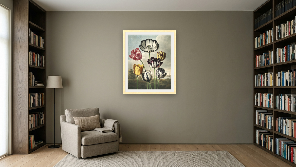 Tulips by Robert John Thornton, shown at 32 × 40 in (81.3 × 101.6 cm) in Arber Natural, library