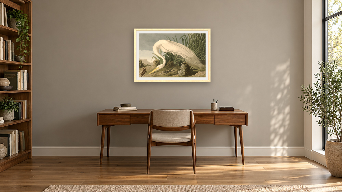 White Heron by John James Audubon, shown at 28 × 42 in (71.1 × 106.7 cm) in Arber Natural, library