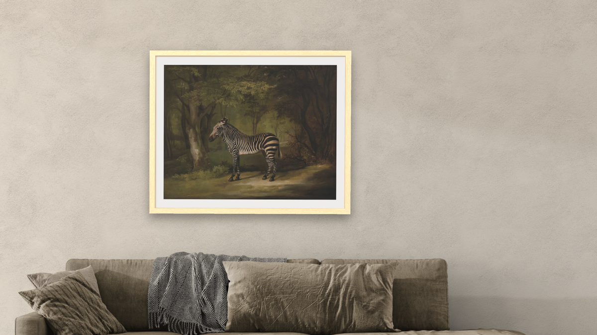 Zebra by George Stubbs, shown at 32 × 40 in (81.3 × 101.6 cm) in Arber Natural, living
