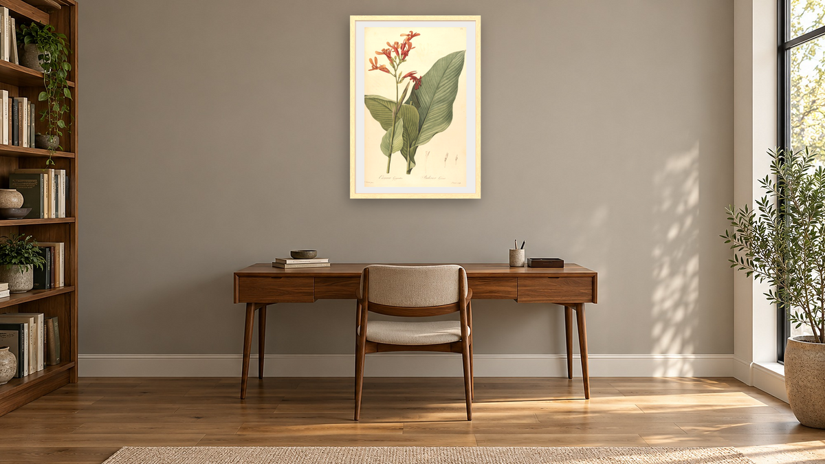 A botanical illustration with the title "Canna gigantea". It depicts the species Canna tuerckheimii. by Pierre Joseph Redouté, shown at 28 × 42 in (71.1 × 106.7 cm) in Arber Natural, library