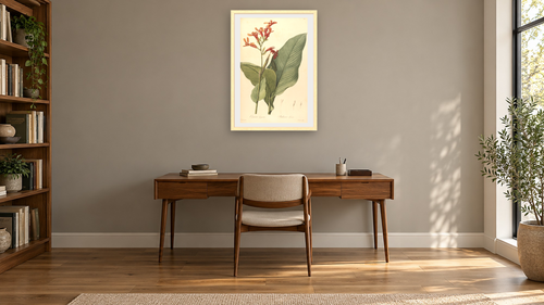 A botanical illustration with the title "Canna gigantea". It depicts the species Canna tuerckheimii. by Pierre Joseph Redouté, shown at 28 × 42 in (71.1 × 106.7 cm) in Arber Natural, library [arteriel-render:v6:room_a:28x42@50,23]