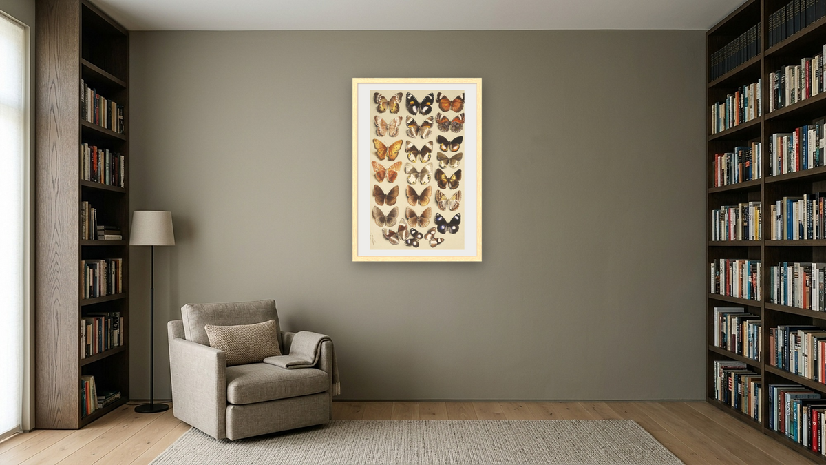 Twenty-two butterflies in three columns, all belonging to the family Nymphalidae by Marian Ellis Rowan, shown at 28 × 42 in (71.1 × 106.7 cm) in Arber Natural, library