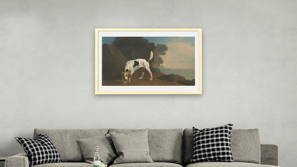 Foxhound by George Stubbs, shown at 28 × 42 in (71.1 × 106.7 cm) in Arber Natural, living