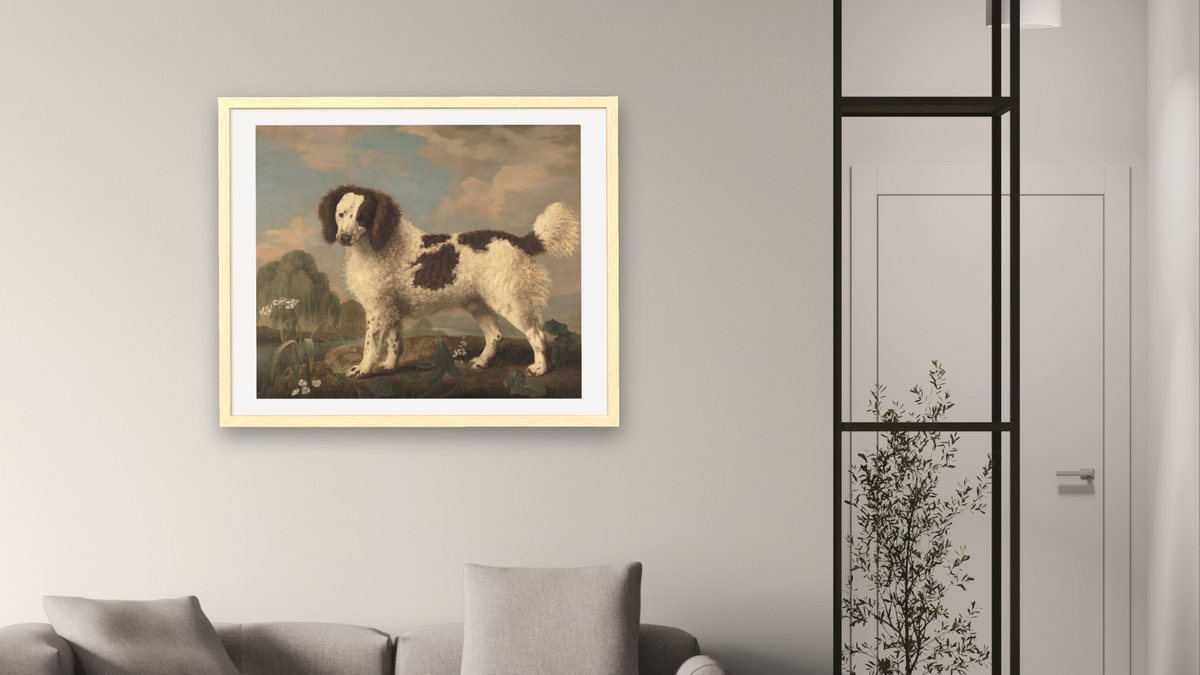 Brown and White Norfolk or Water Spaniel by George Stubbs, shown at 32 × 40 in (81.3 × 101.6 cm) in Arber Natural, living
