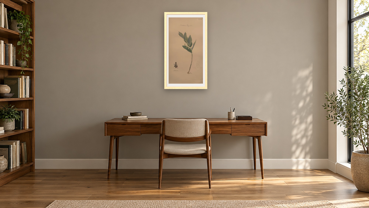 Angular Solomon's Seal by Hilma af Klint, shown at 20 × 40 in (50.8 × 101.6 cm) in Arber Natural, library