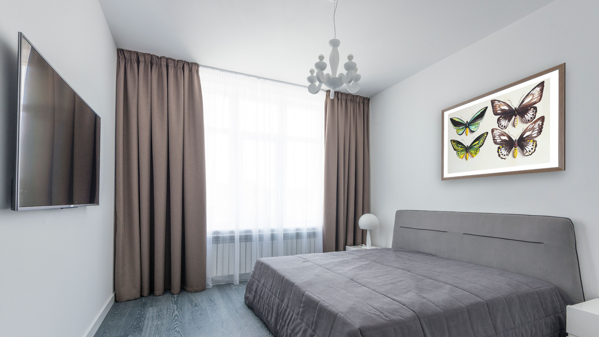 Four Birdwing butterflies (family Papilionidae) in two columns, representing both sexes of the Common Birdwing (Troides (Ornithoptera) Priamus) by Marian Ellis Rowan, shown at 28 × 42 in (71.1 × 106.7 cm) in Arber Light Walnut, bedroom