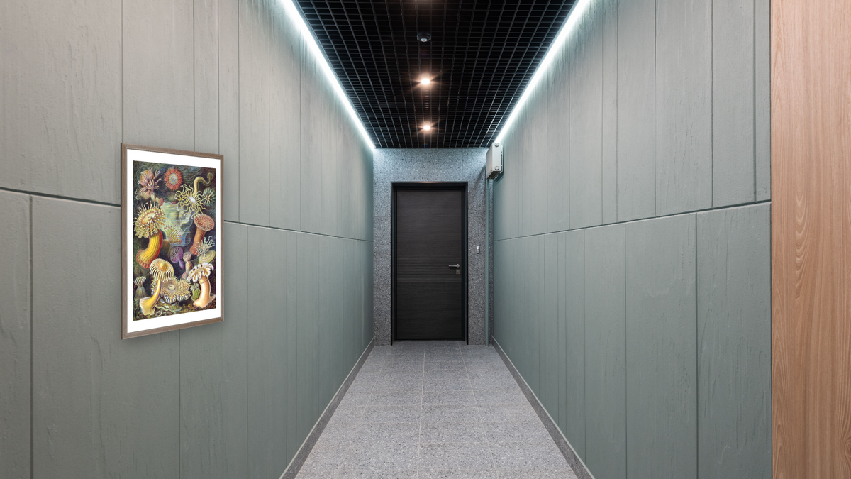 Illustration of Actiniae by Ernst Haeckel, shown at 28 × 42 in (71.1 × 106.7 cm) in Arber Light Walnut, hallway