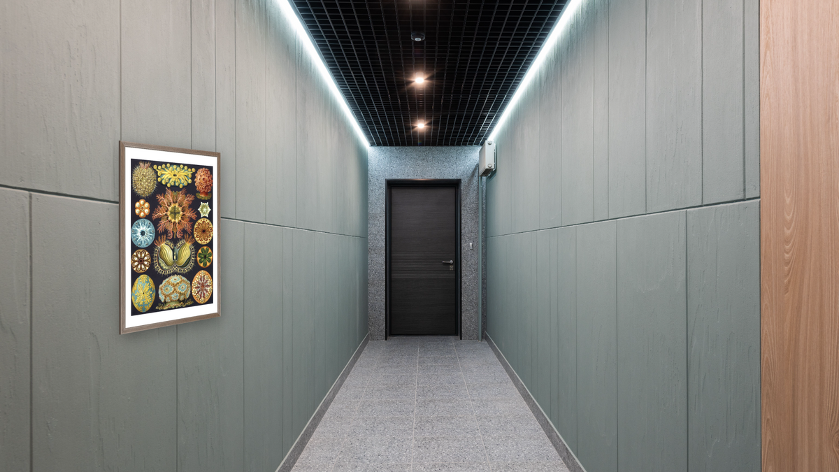 Illustration of Ascidiacea by Ernst Haeckel, shown at 28 × 42 in (71.1 × 106.7 cm) in Arber Light Walnut, hallway