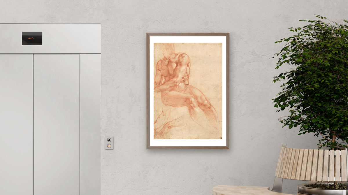 Seated Young Male Nude and Two Arm Studies (recto) by Michelangelo Buonarroti, shown at 28 × 42 in (71.1 × 106.7 cm) in Arber Light Walnut, office