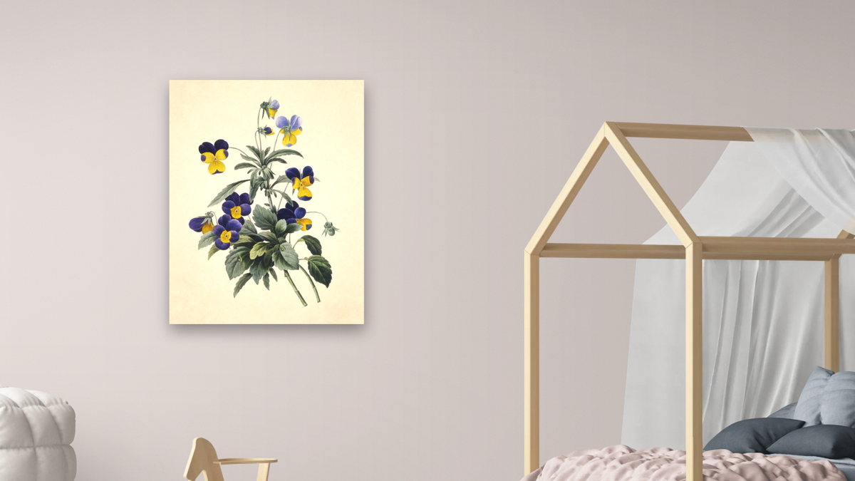 Viola Tricolor (Wild Pansy), Choix des Plus Belles Fleurs et Des Plus Beaux Fruits by Pierre Joseph Redouté, shown at 30 × 40 in (76.2 × 101.6 cm) as gallery-wrapped canvas, bedroom