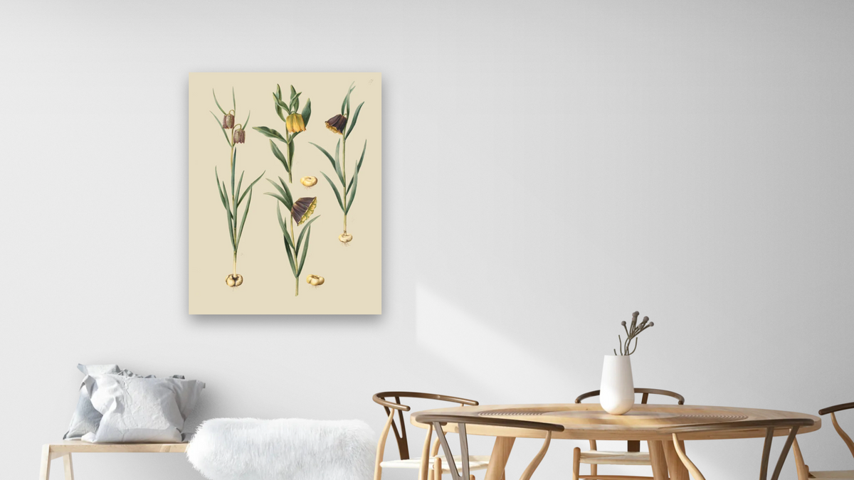 Fritillaria meleagris; Fritullaria lutea eller Fritullaria latifolia var lutea; Fritillaria pyrenaica by Johannes Simon Holtzbecher, shown at 30 × 40 in (76.2 × 101.6 cm) as gallery-wrapped canvas, dining