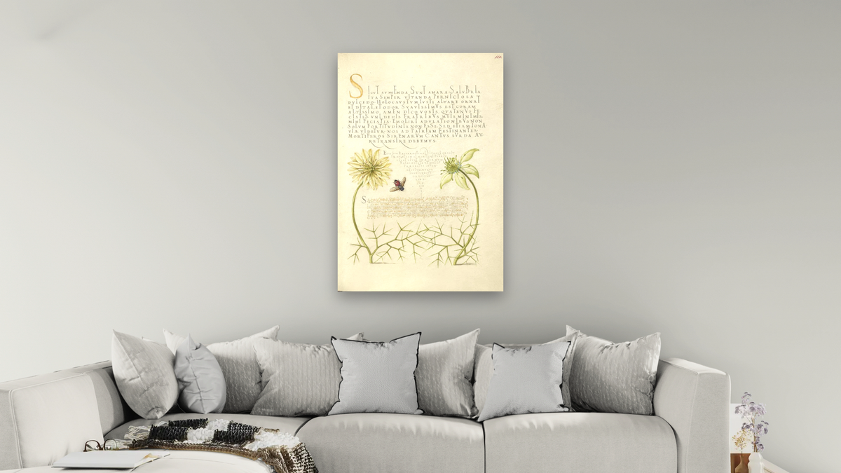 Black Cumins and Insect by Joris Hoefnagel and Georg Bocskay, shown at 28 × 42 in (71.1 × 106.7 cm) as gallery-wrapped canvas, living