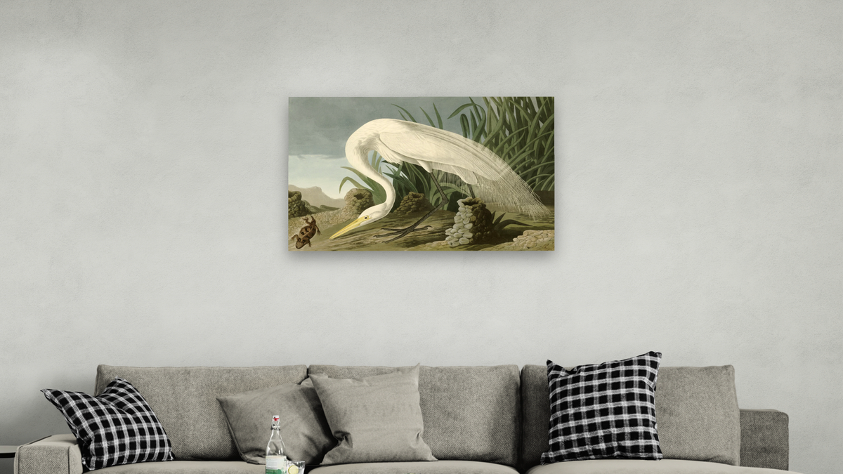 White Heron by John James Audubon, shown at 28 × 42 in (71.1 × 106.7 cm) as gallery-wrapped canvas, living