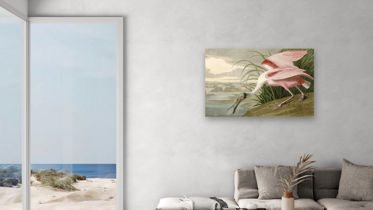 Roseate Spoonbill by John James Audubon, shown at 28 × 42 in (71.1 × 106.7 cm) as gallery-wrapped canvas, living