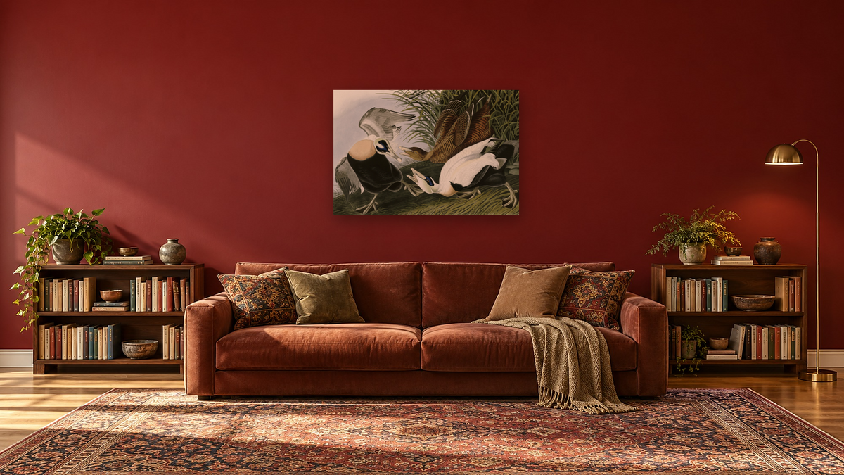 Eider Duck by John James Audubon, shown at 28 × 42 in (71.1 × 106.7 cm) as gallery-wrapped canvas, library