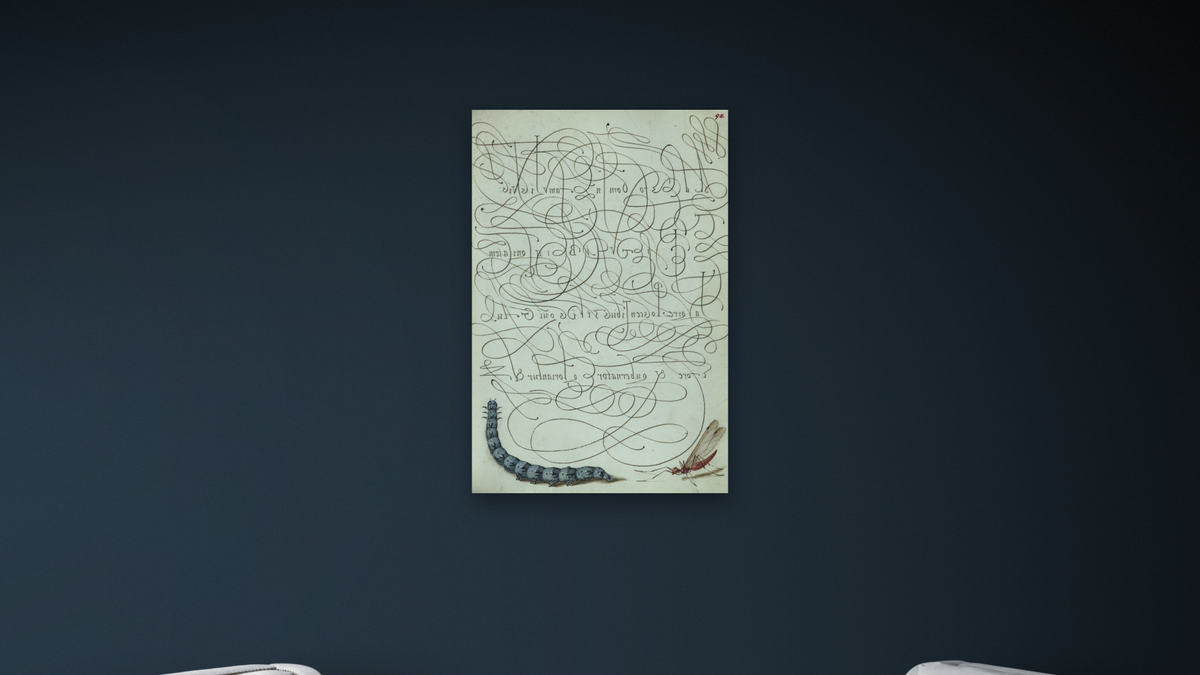Caterpillar and Insect by Joris Hoefnagel and Georg Bocskay, shown at 28 × 42 in (71.1 × 106.7 cm) as gallery-wrapped canvas, office