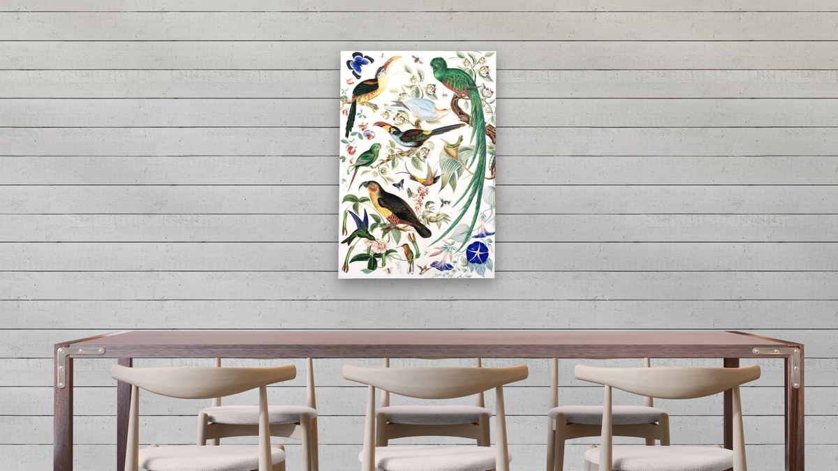 Exotic Parrots by School of John James Audubon, shown at 28 × 42 in (71.1 × 106.7 cm) as gallery-wrapped canvas, dining